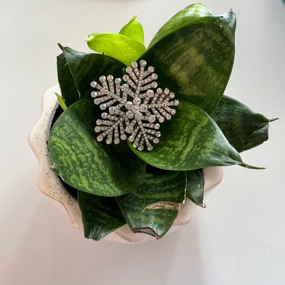 Snowflake Brooch - Picture 1 of 5